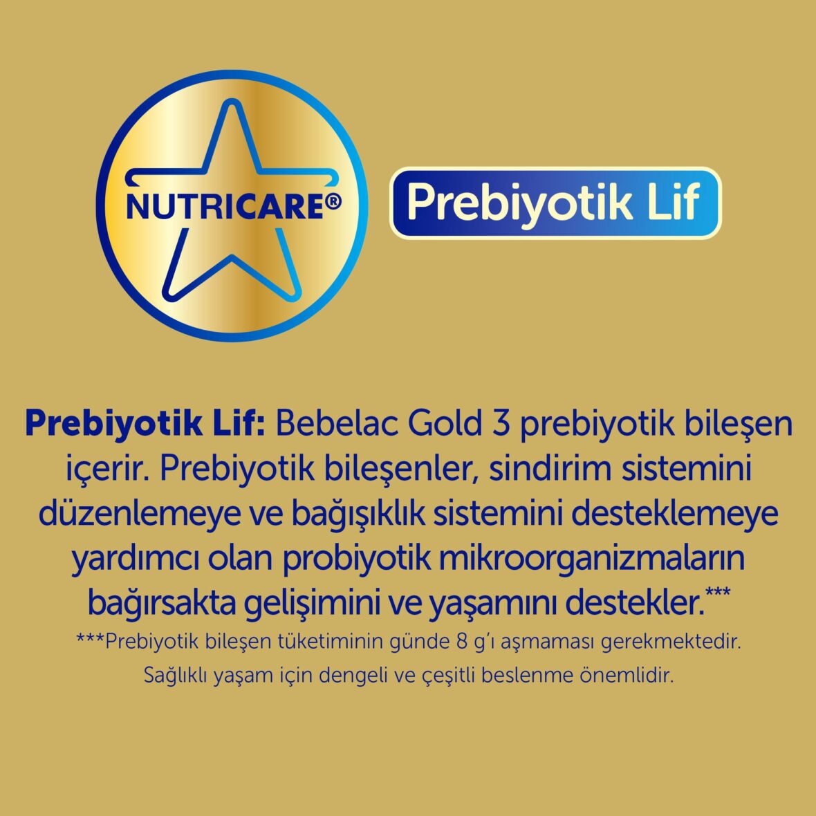 bebelac-gold-bebek-devam-sutu-no2-350gr-193099