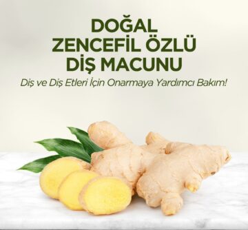 eyup-sabri-tuncer-dogal-dis-macunu-90gr-zencefil-ozlu-232409