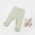 bibaby biorganic tiny birds patiksiz pantolon 57876 ekru yesil 236559