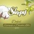 sleepy dogal zeytinyagli islak havlu mendil 90 yaprak 207420